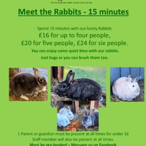 Meet the RABBITS for up to 4 people - 15 MINUTES